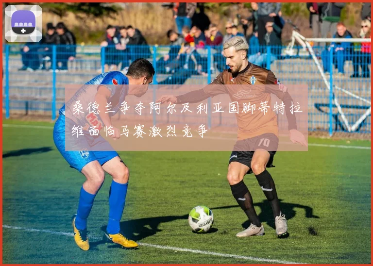 桑德兰争夺阿尔及利亚国脚蒂特拉维面临马赛激烈竞争